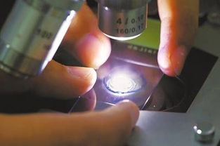 神奇发酵剂 生物制品的创新引擎与应用前景