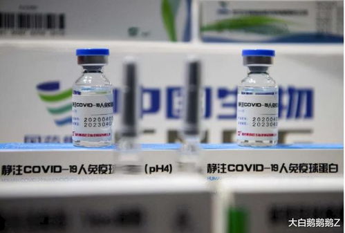 国药疫苗认证迟滞，澳大利亚留学经济蒙受重创